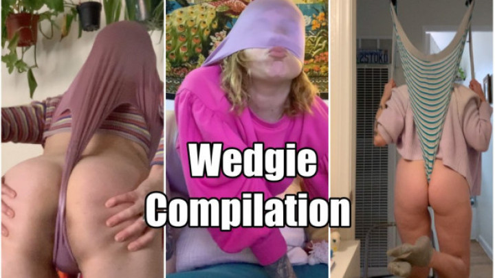 leaked Wedgie Compilation Part 5 thumbnail