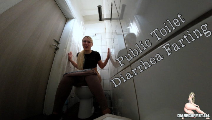 Public Toilet Fart exlposions Diane Chrystall