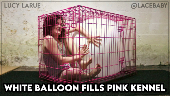 leaked White Balloon Fills Pink Kennel thumbnail