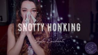 [819.63 MB] - Snotty Honking - SkylaEnchant