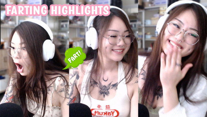 leaked Streamer Farting Highlights thumbnail