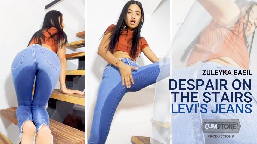 DESPAIR ON THE STAIRS LEVIS JEANS zuleyka basil