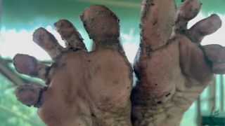 [472.95 MB] - Dirty Feet en la Dieta - GoddessWolfe