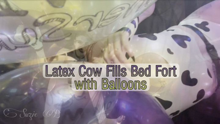 leaked Latex Cow Fills Bed Fort with Balloons thumbnail