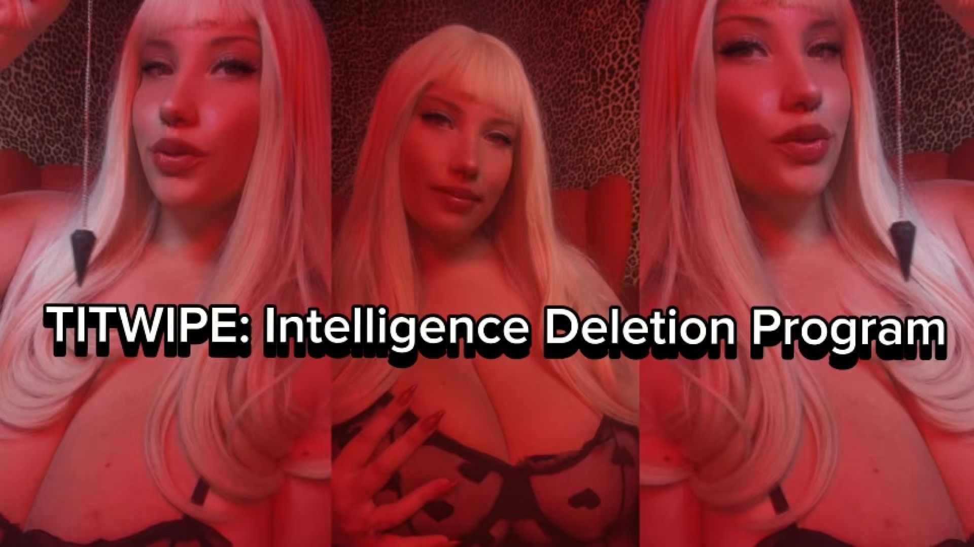 Tiffany Racks:TITWIPE INTELLIGENCE DELETION PROGRAM