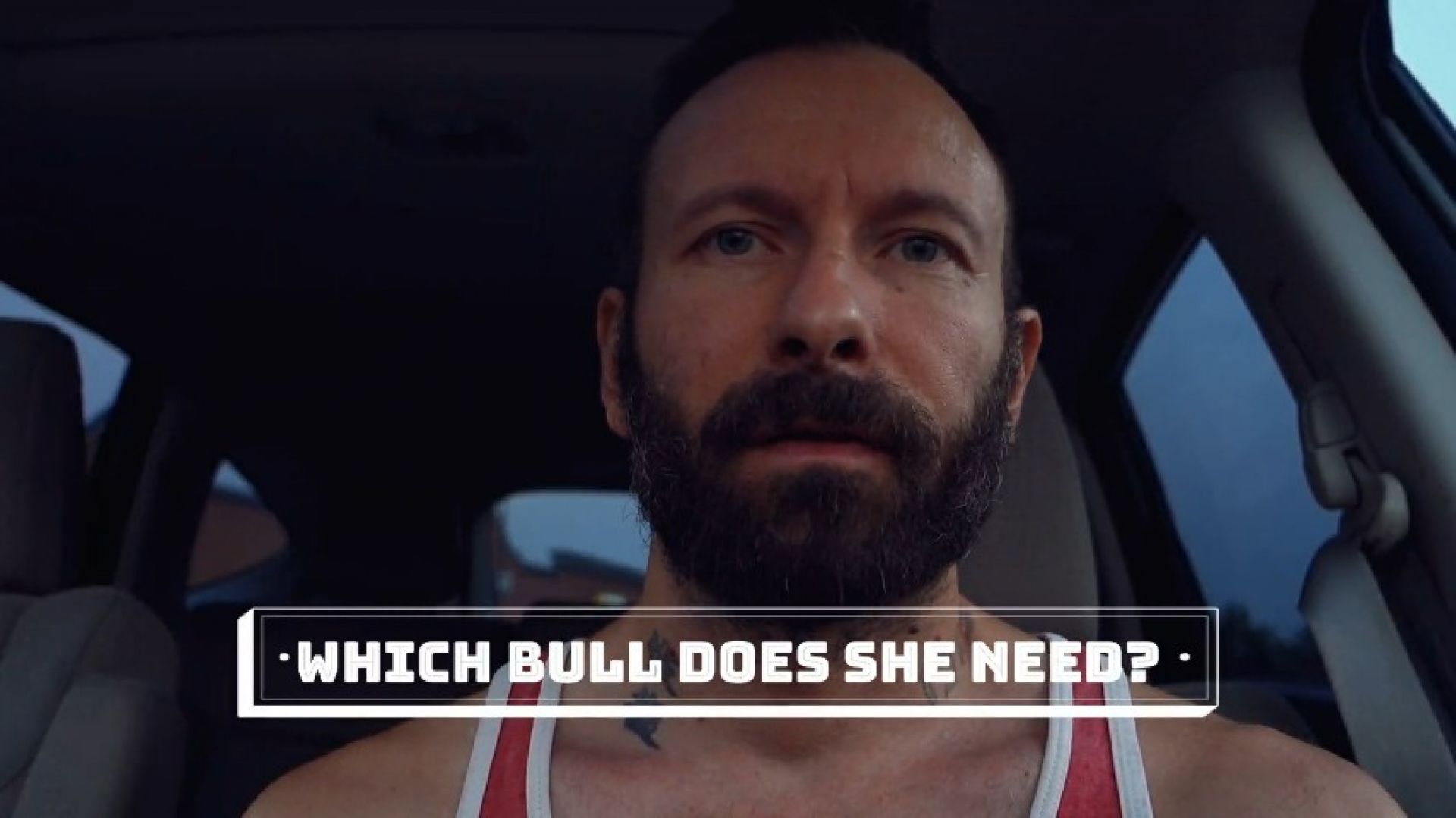 Fetish Productions X:Which Bull Does She Need
