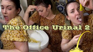 [4.51 GB] - The Office Urinal TWO - Miss Malorie Switch