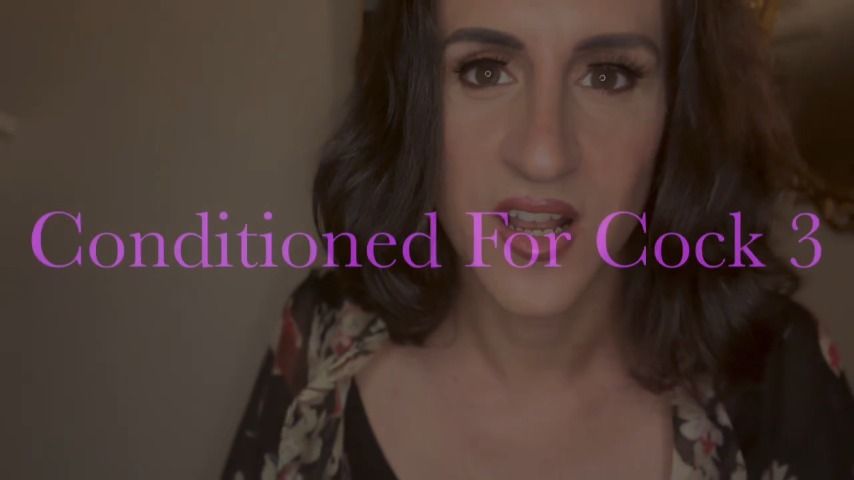 Conditioned For Cock 3 Holland of Chicago