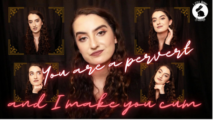 You Are a Pervert, and I Make You Cum