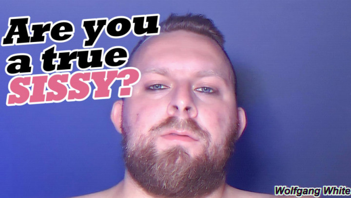 Wolfgang White:STEPFATHER POUNDS YOUR SISSY ASS! BOTTOMPOV VERBAL FUCK