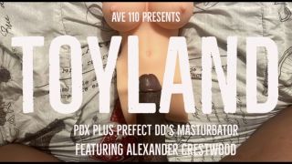 [678.80 MB] - Toyland PDX Plus Prefect DD Masturbator - AVE 110