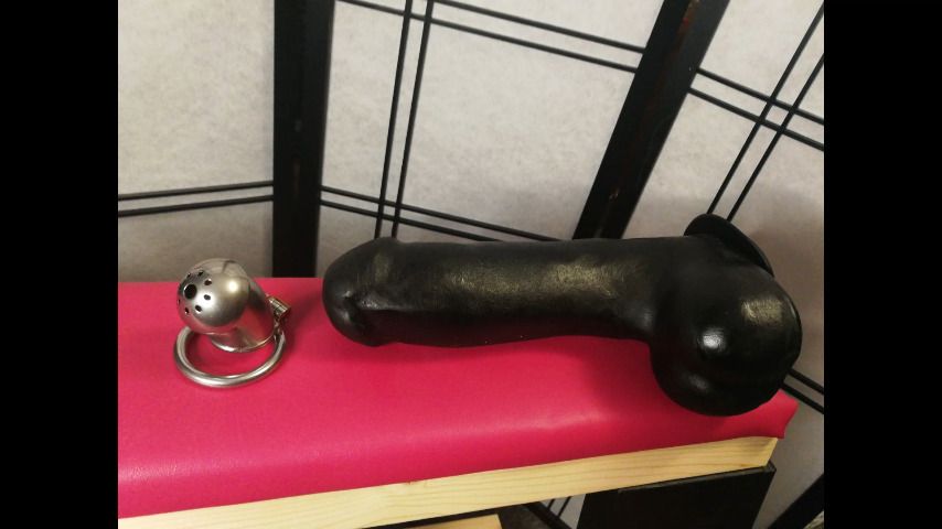 Dildo fun BJ Lokt