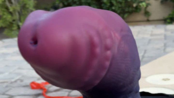 Harmonex - Anal Stuffing - ManyVids