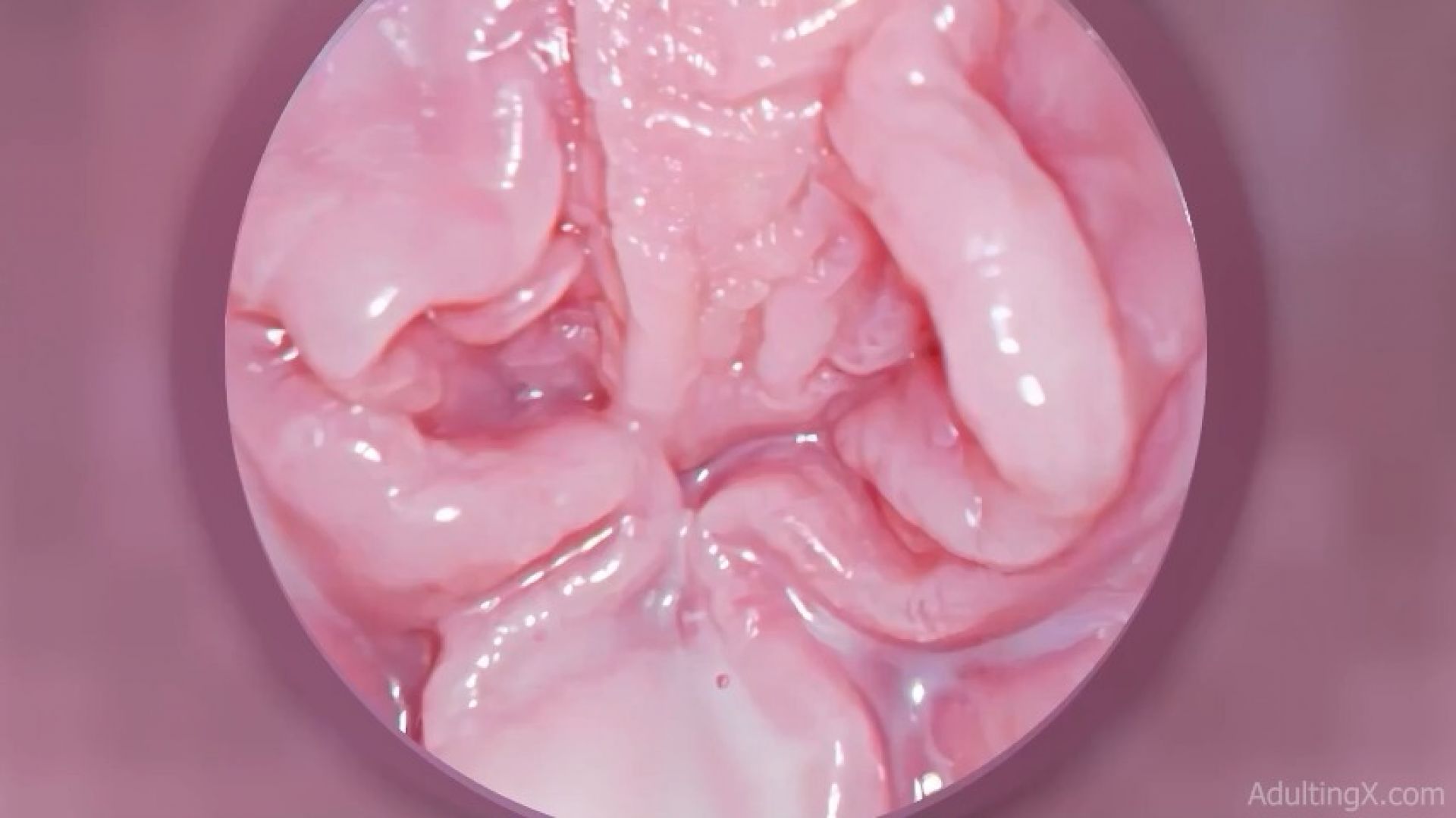 adulting - Alt View - Internal Top Left - Cervix Creampie Fuck POV 3X -  ManyVids