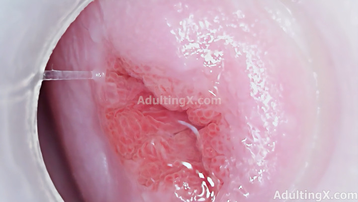 adulting - Cervix 4k Magnified Pussy Parts - ManyVids 