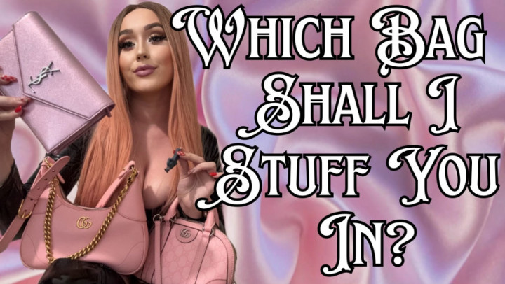 GoddessK1tty:Which Bag Shall I Stuff You In