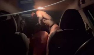 _KingMeans - BarbieDollStef getting her back beat in the back of her SUV -  ManyVids