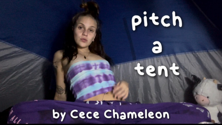 cecechameleon:pitch a tent