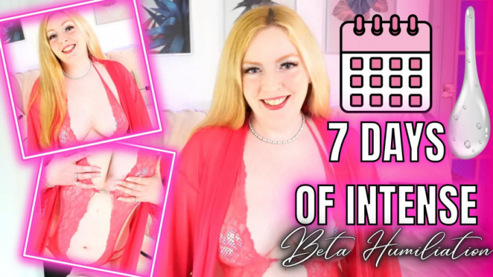 MissPorcelainB:Day 1 Of Intense Beta Humiliation
