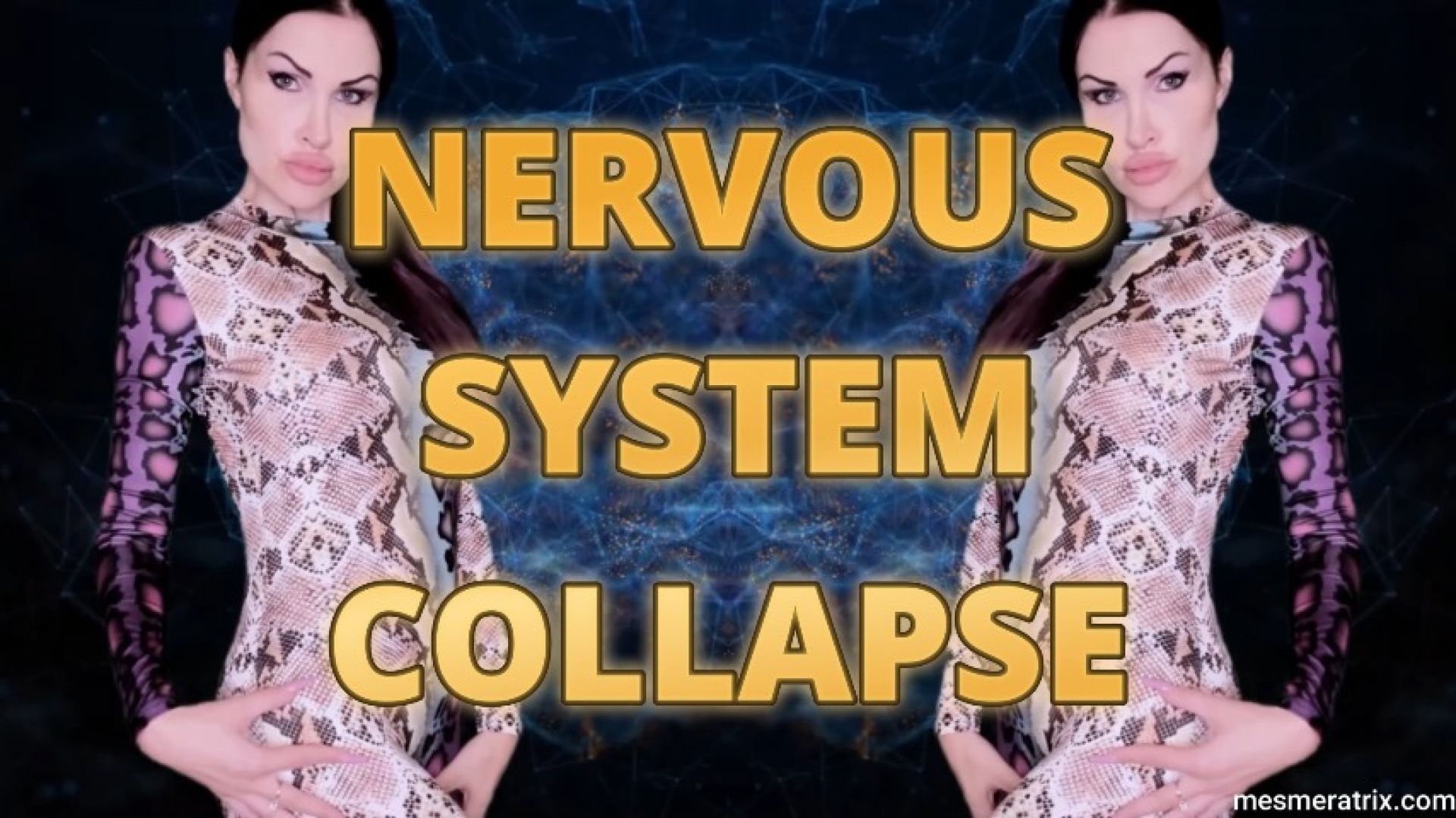 ladymesmeratrix:NERVOUS SYSTEM COLLAPSE