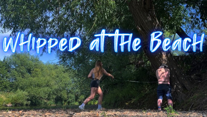 Whipped at the Beach 480p ScarlettMorgan