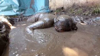 [911.95 MB] - My muddy jeans and  sweater - Darkabyss445