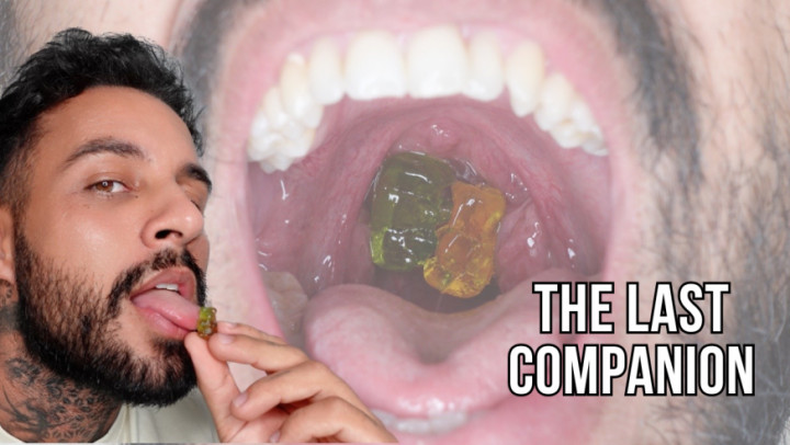 Lalo and Vanessa:The Last Companion - Lalo Cortez
