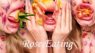 [2.23 GB] - Floral Fantasy: Rose Petal Delight - White Shye