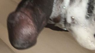 [141.33 MB] - Daddy cums for you - Makeherfeelg