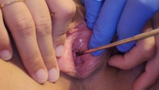 [1.50 GB] - Urethra Stretching - EnvyAndGreed