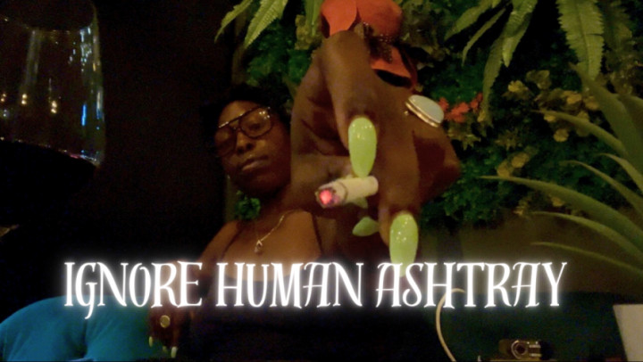 your Madam Indigo:Ignore Human Ashtray
