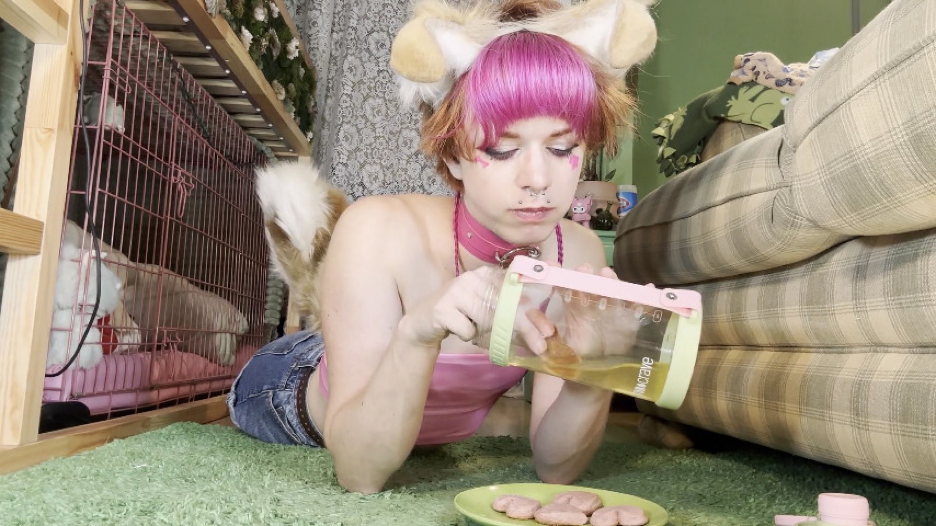 pawstarlaika:tea party for a piss pet