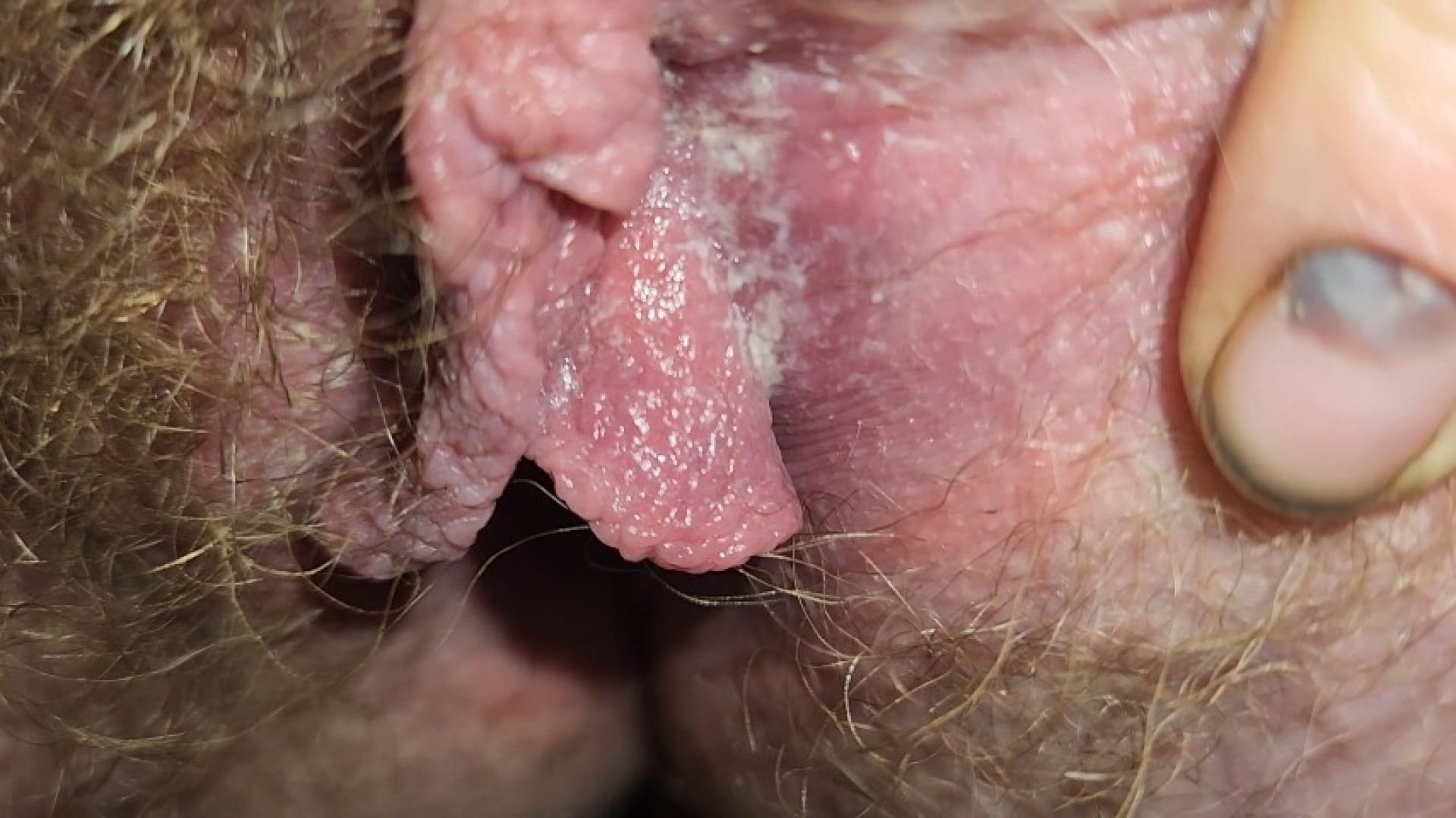FrankieQuinn Pussy Diary Day 24 Feverishly Exploring Her Extreme 
