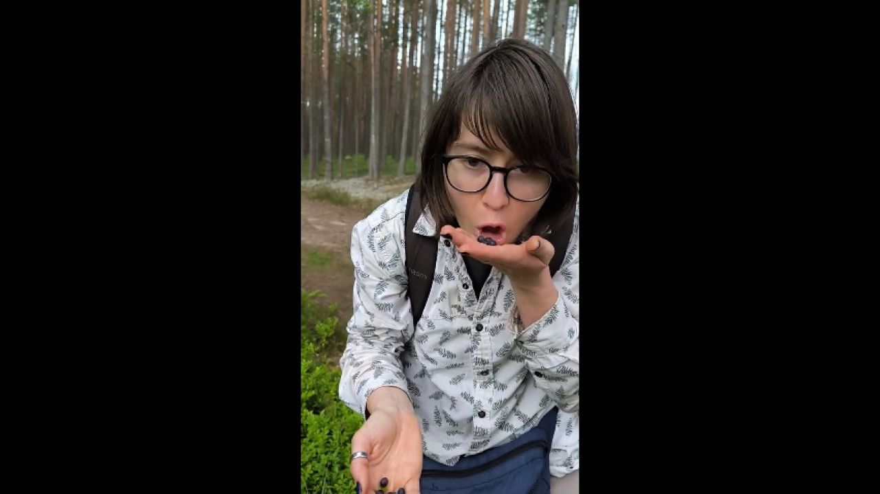 FenekManul:hunting wild berries in the forest