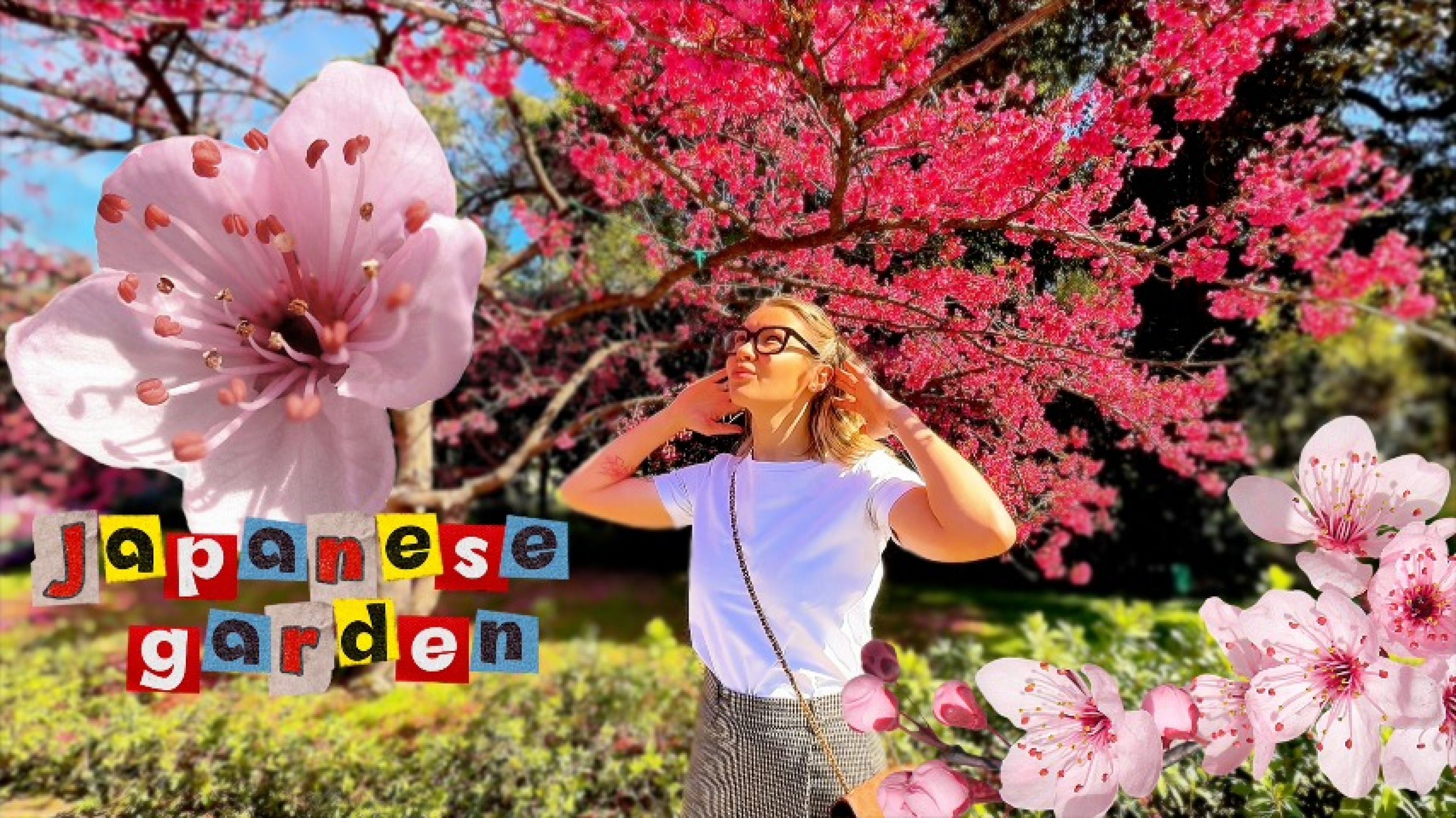 MiniiCooper:VLOG #5 First, cherry blossoms... Then, hot caresses