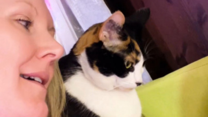 HippyHarlow:Kitty photobomb