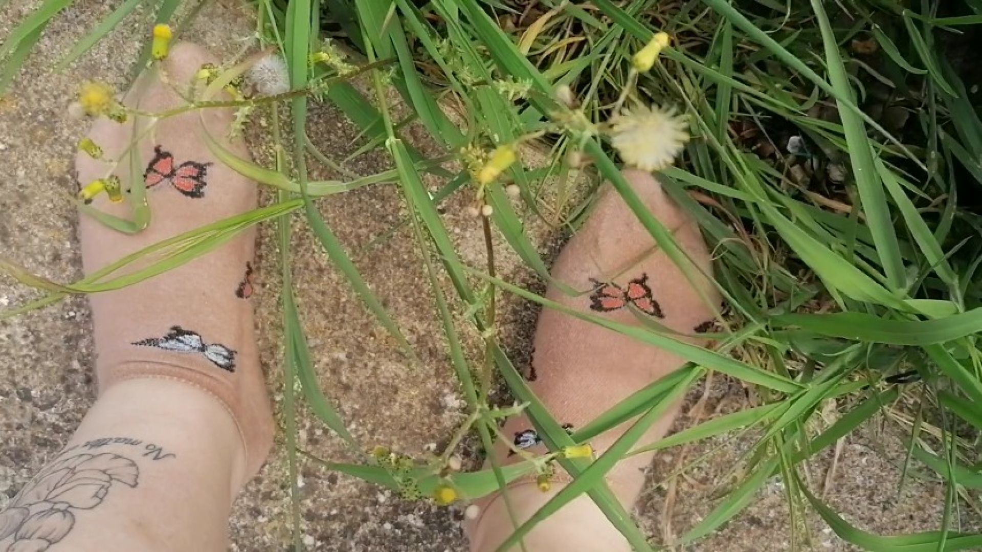 MissHBBW:Fat feet and dirty socks