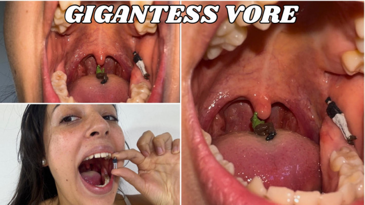 Tamarasmith:Giant Vore Fetish