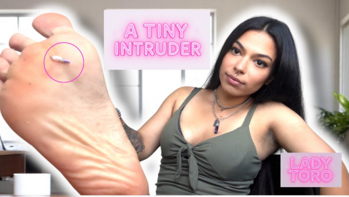 LadyToro:A Tiny Intruder - VORE